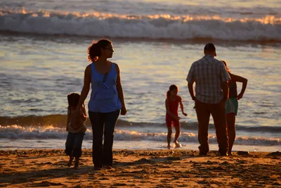 DSC_1273 (Large).JPG